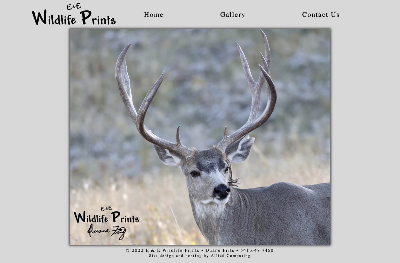 E & E Wildlife Prints