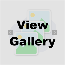 Web Design Gallery